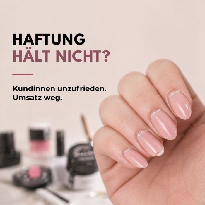 NBM Studio-Kennenlernset (5 Bestseller)